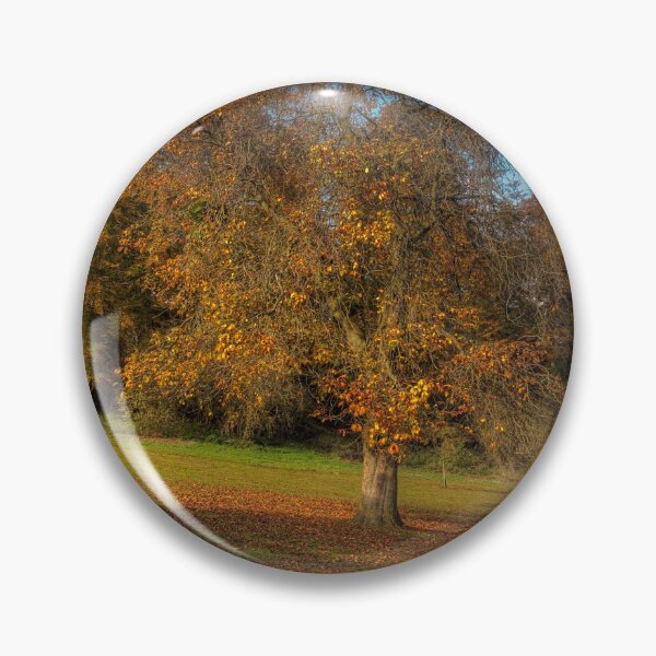 Item preview, Hubbards Hills 5 designed and sold by Paul Thompson Photography.