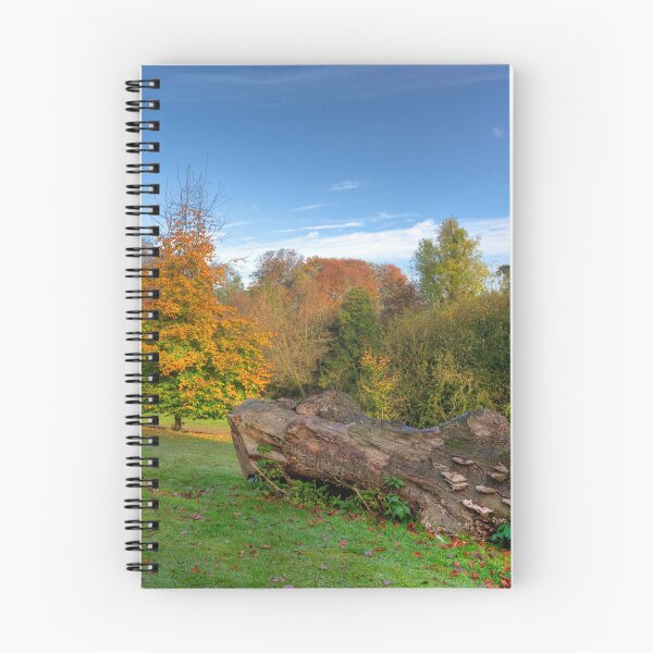 Item preview, Hubbards Hills 4 designed and sold by Paul Thompson Photography.