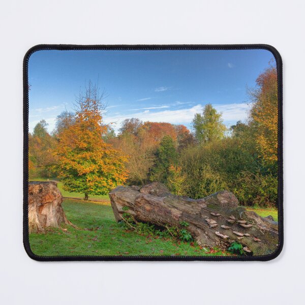 Item preview, Hubbards Hills 4 designed and sold by Paul Thompson Photography.