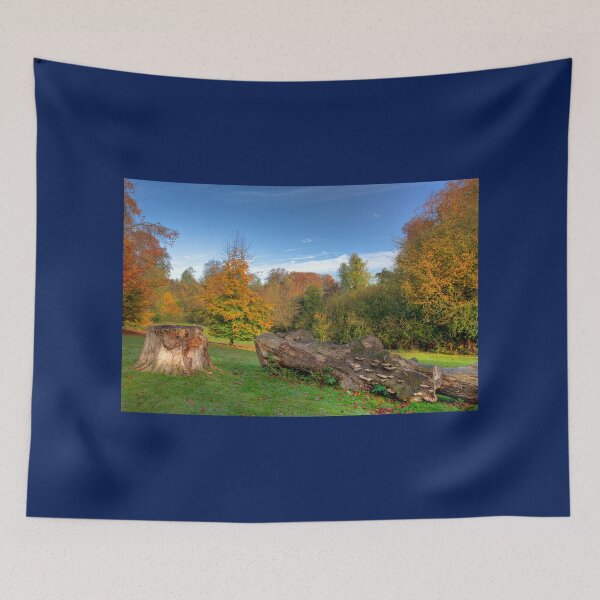 Item preview, Hubbards Hills 4 designed and sold by Paul Thompson Photography.