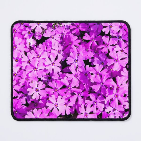 Item preview, Fuchsia Phlox designed and sold by bjtomiko.