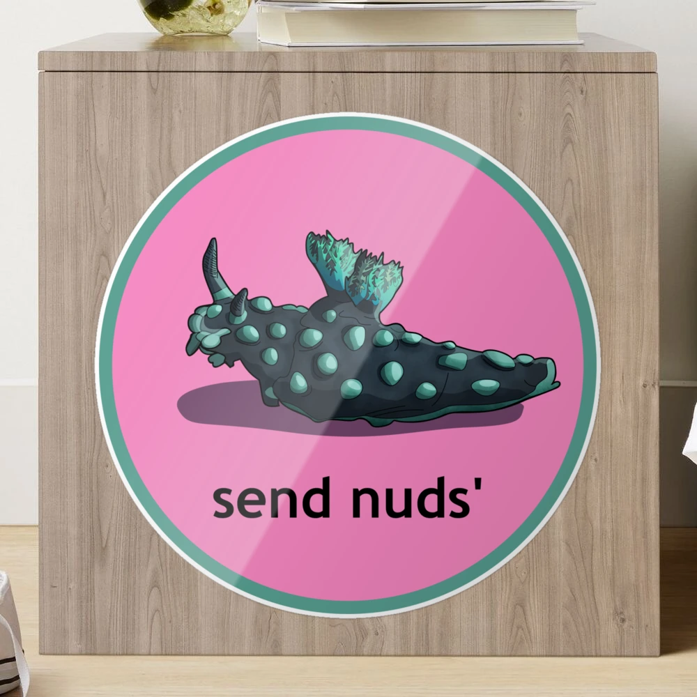 Send nuds (pink) Sticker for Sale by colleenregin  Redbubble