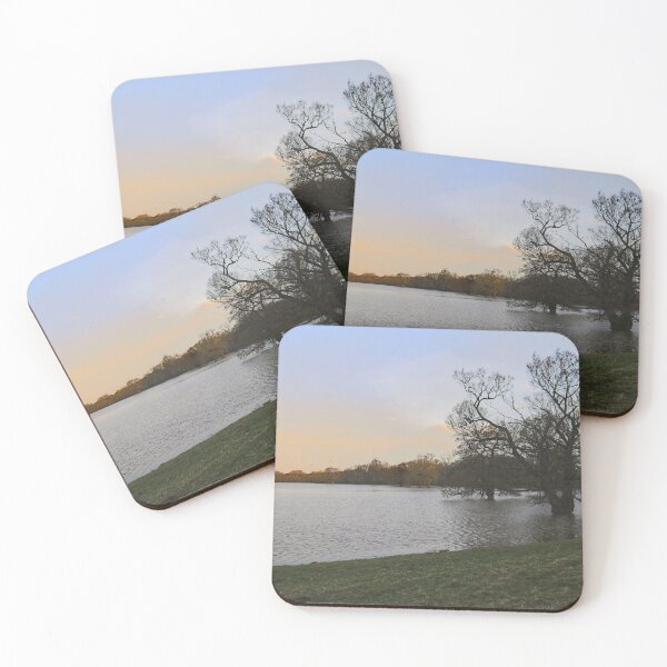 Item preview, Shrewsbury Floodwaters designed and sold by jalfc46.