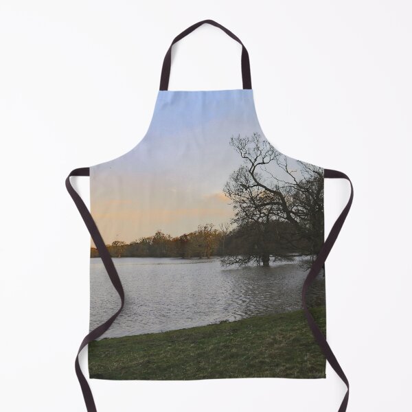 Item preview, Shrewsbury Floodwaters designed and sold by jalfc46.