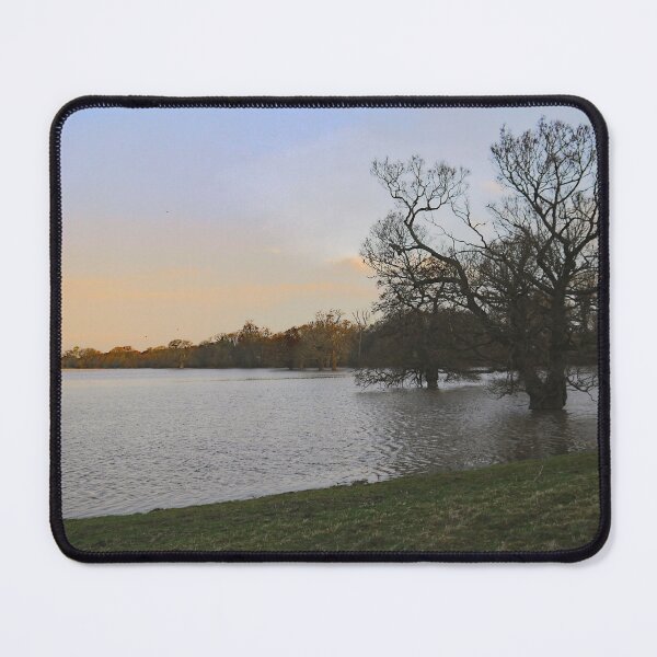 Item preview, Shrewsbury Floodwaters designed and sold by jalfc46.