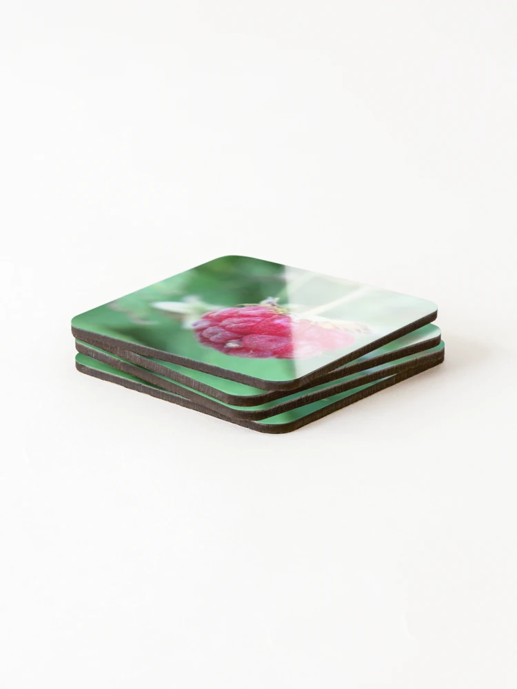 Thumbnail 4 of 5, Coasters (Set of 4), Wild Raspberry designed and sold by dguzmanmeyer.