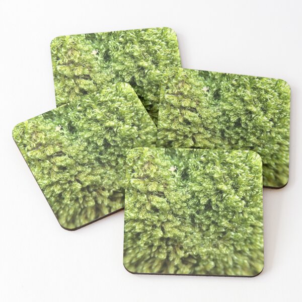 Item preview, Mossy Moss designed and sold by dguzmanmeyer.