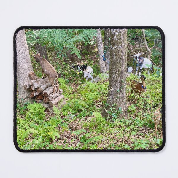 Item preview, Goat Disneyland in our back yard! designed and sold by renprovo.