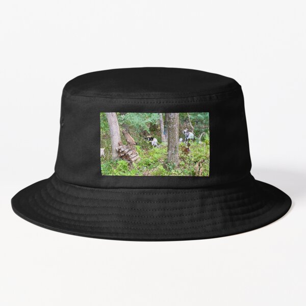 Item preview, Goat Disneyland in our back yard! designed and sold by renprovo.
