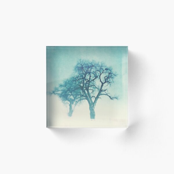 Dream Trees Acrylic Block
