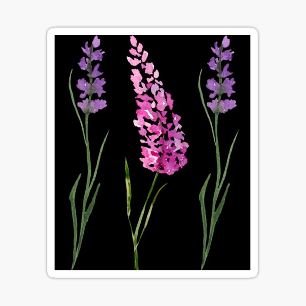 Buy Wildflower Stickers – Wildflower Cases