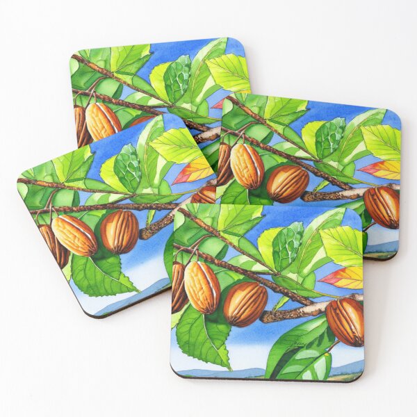 Item preview, Pecans on Branch in Watercolor | Southern Texas Georgia designed and sold by kiliteh.