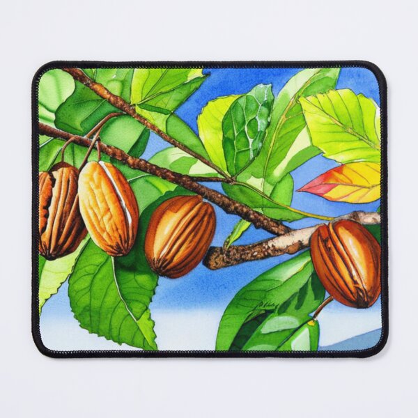 Item preview, Pecans on Branch in Watercolor | Southern Texas Georgia designed and sold by kiliteh.