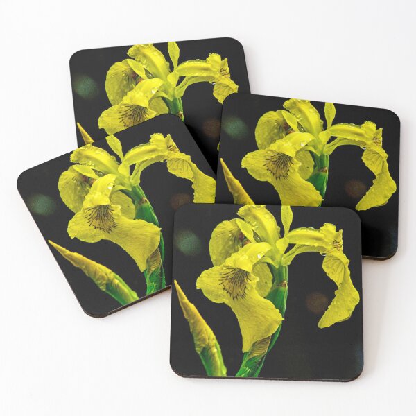 Item preview, Yellow Swamp Iris designed and sold by Frank Parisi.