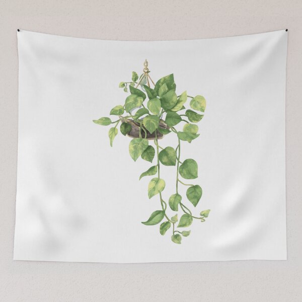 Item preview, Hanging Golden Pothos Plant for Plant Lovers designed and sold by FirstTouch.