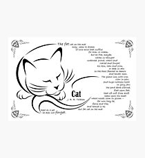 'Cat' by JRR Tolkien Photographic Print