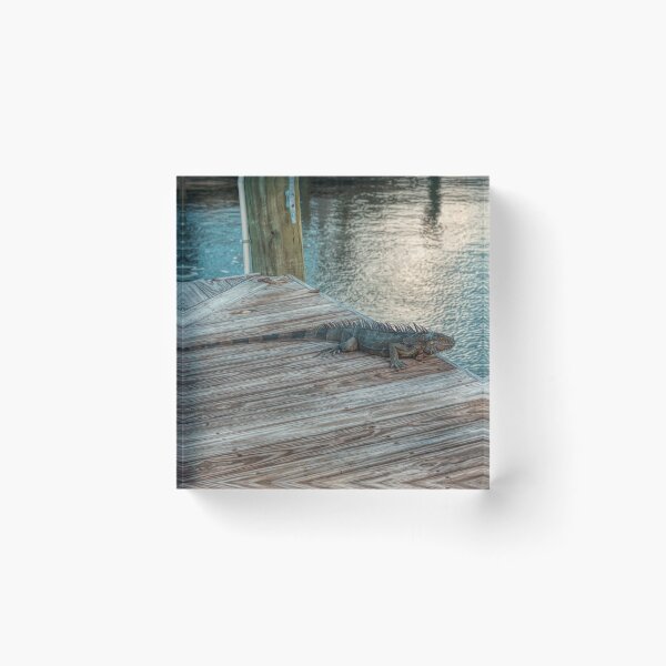 Item preview, Sitting on the Dock designed and sold by John Bailey.