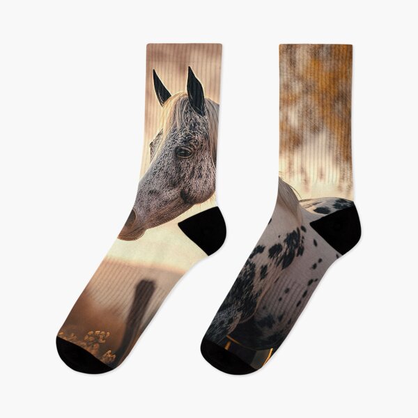 Item preview, Wild appaloosa horse golden hour photography designed and sold by RK - Shop.