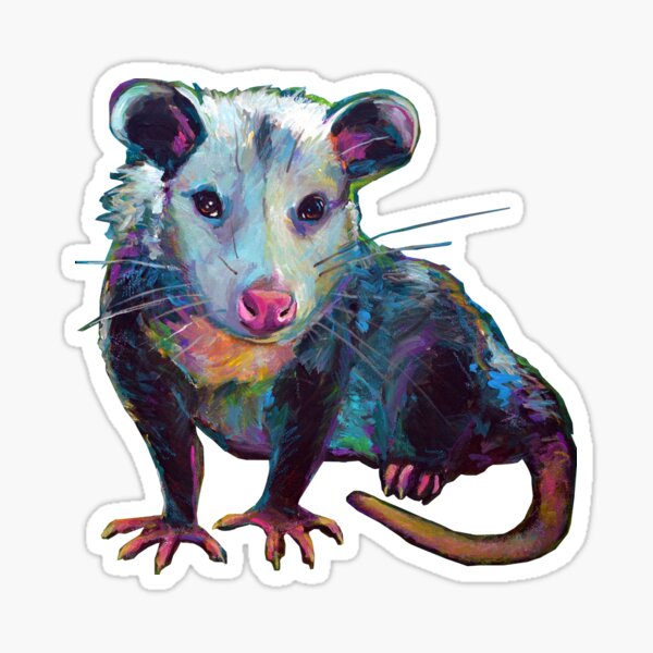 Cute OPOSSUM by Robert Phelps Sticker