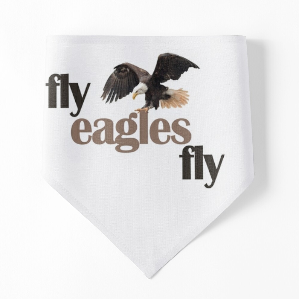 Grunge Vintage Eagles Flying Bird Inspirational Eagles Fly T-Shirt