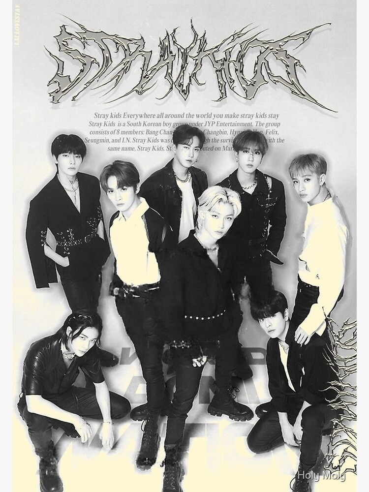 skz black and white Poster for Sale by Holy Moly
