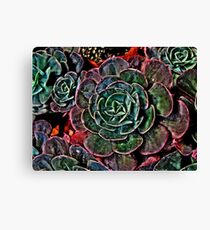 Pedals Canvas Print
