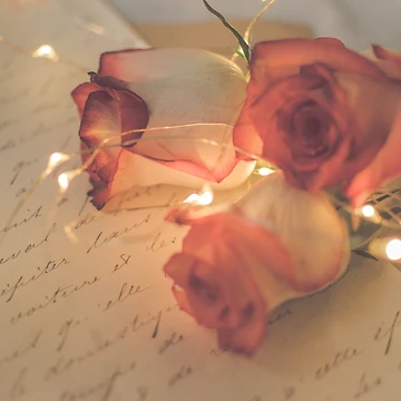 Artwork thumbnail, The Roses Are Lit by gingerfancy