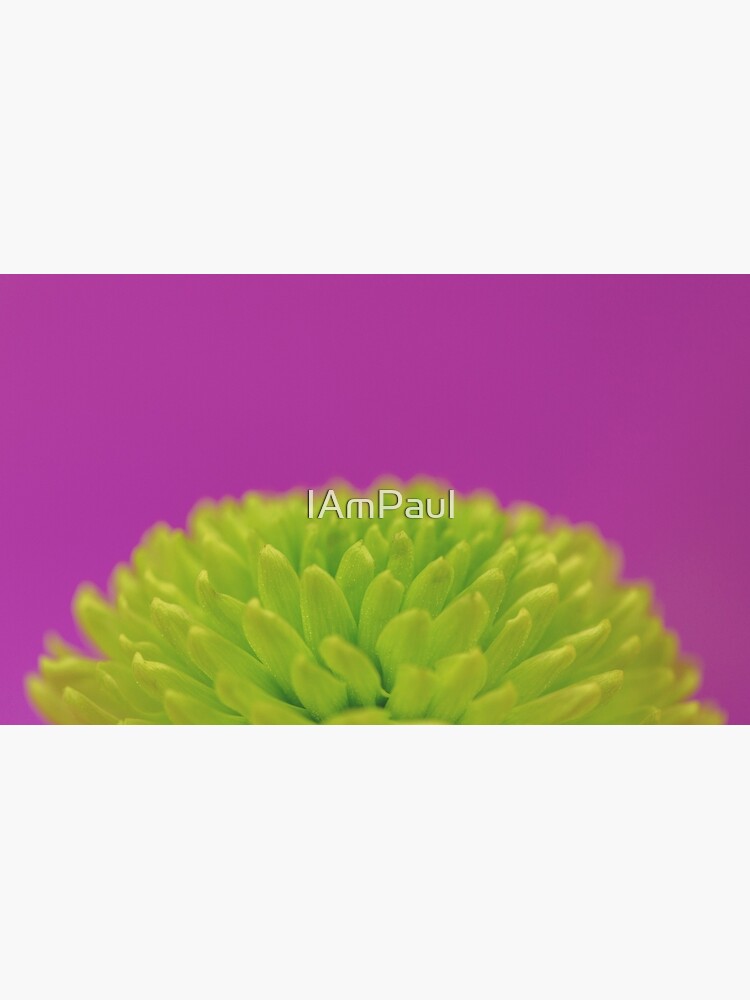 Thumbnail 6 of 6, Coffee Mug, Green Button Spray Chrysanthemum designed and sold by IAmPaul.