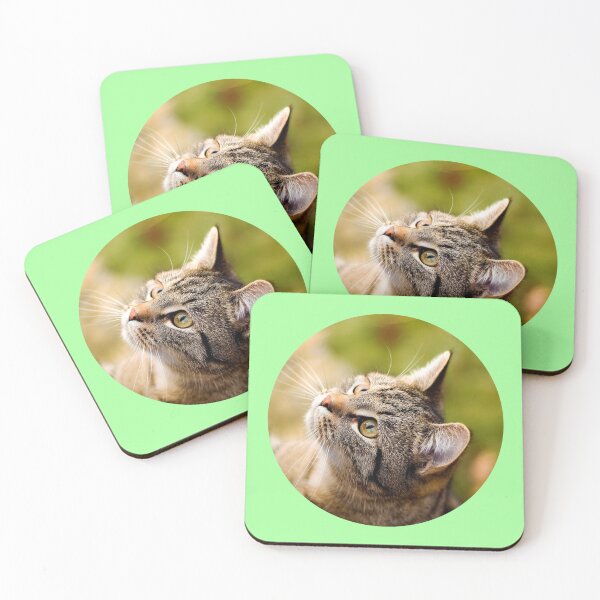 Item preview, Street Cats of Skopelos #13 designed and sold by SMP-Shop.