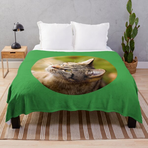 Item preview, Street Cats of Skopelos #13 designed and sold by SMP-Shop.