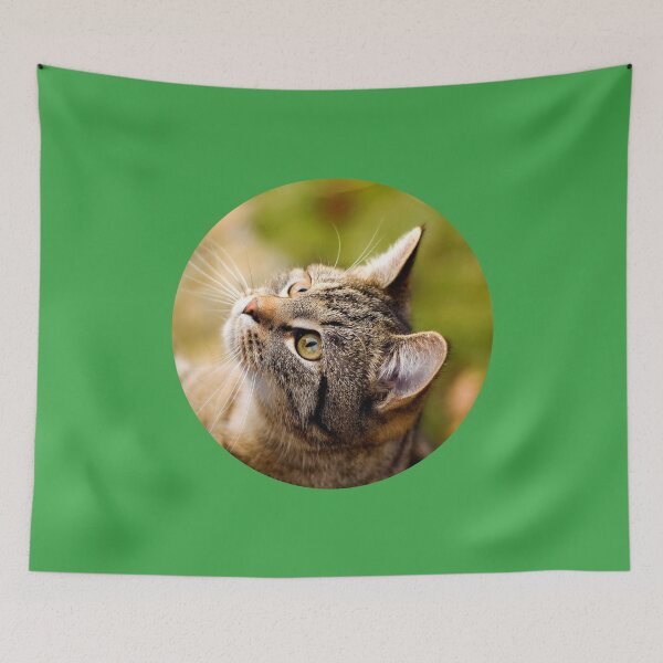 Item preview, Street Cats of Skopelos #13 designed and sold by SMP-Shop.