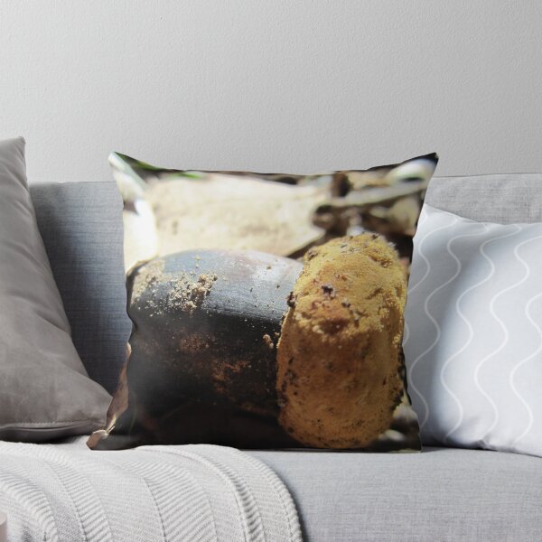 Item preview, Acorn designed and sold by Chris Gudger.
