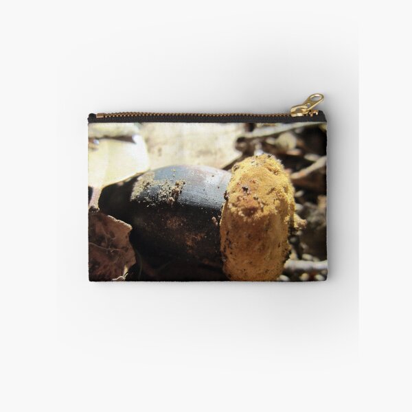 Item preview, Acorn designed and sold by Chris Gudger.