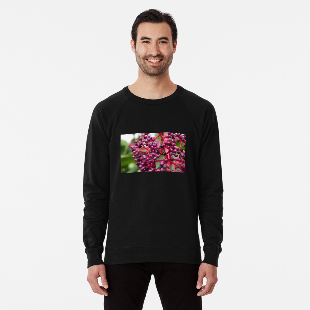 Item preview, Lightweight Sweatshirt designed and sold by teruyalab.