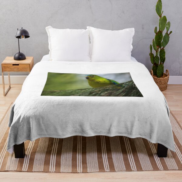 Item preview, Green Budgerigar designed and sold by D-GaP.