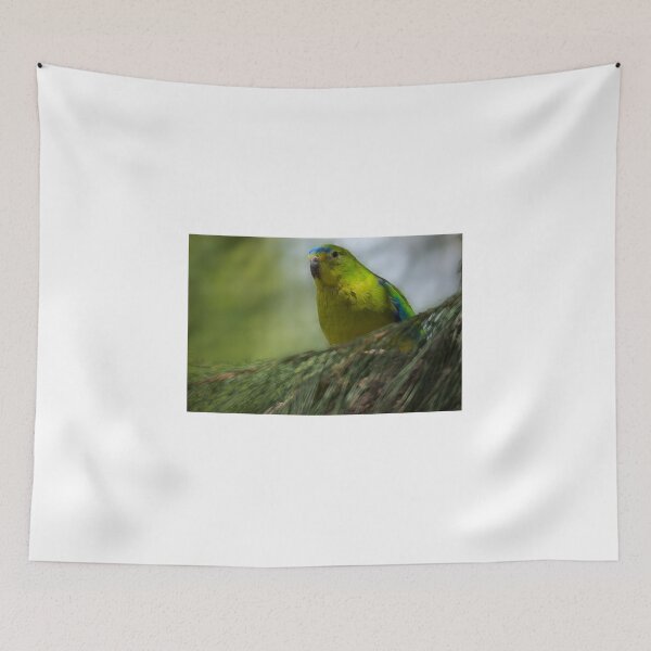 Item preview, Green Budgerigar  designed and sold by D-GaP.