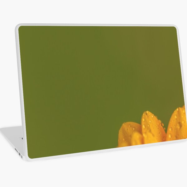 Wet Yellow Petals against Green background Laptop Skin
