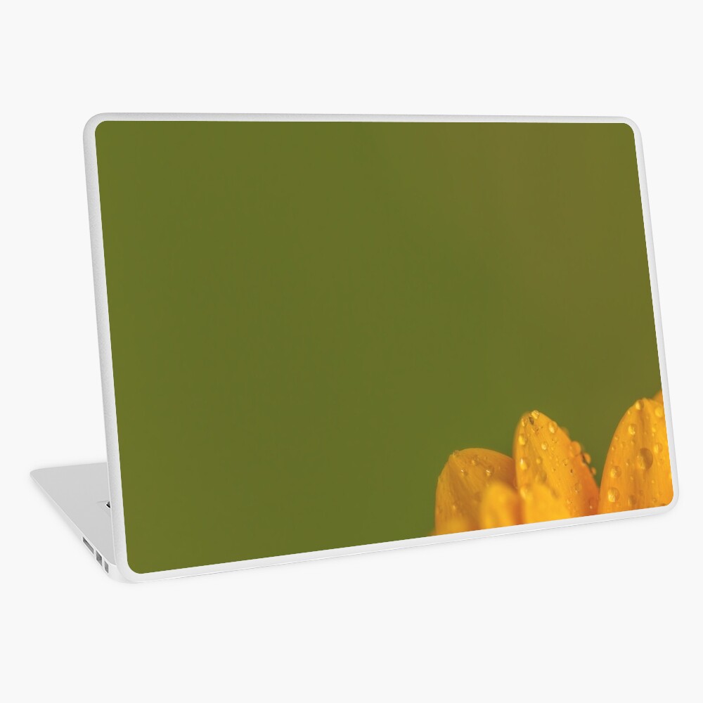 Item preview, Laptop Skin designed and sold by IAmPaul.