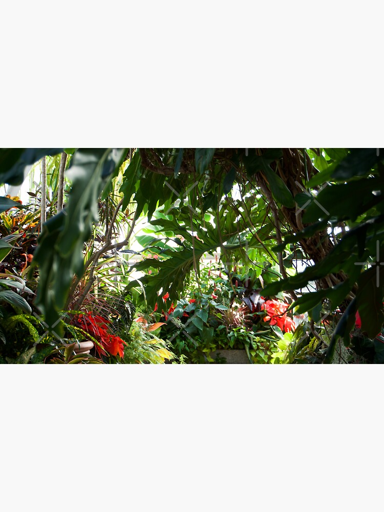 Thumbnail 3 of 3, Sticker, GREENHOUSE CONSERVATORY TROPICAL PLANTS BILTMORE ESTATE ASHEVILLE NC designed and sold by teruyalab.
