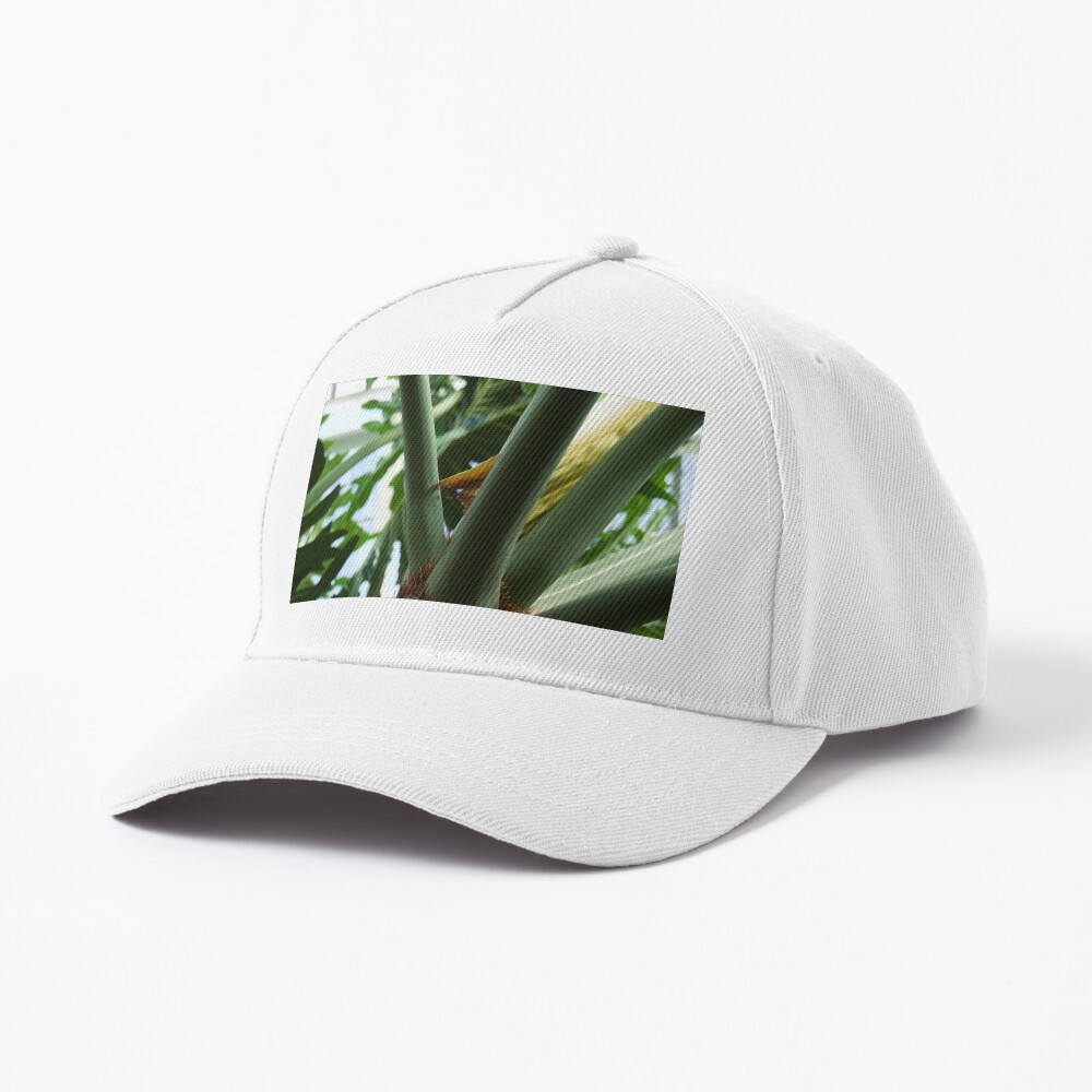 Item preview, Baseball Cap designed and sold by teruyalab.