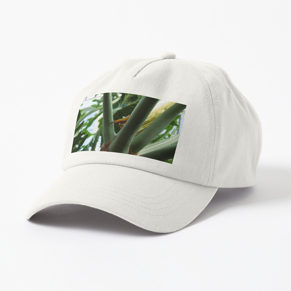 Item preview, Dad Hat designed and sold by teruyalab.