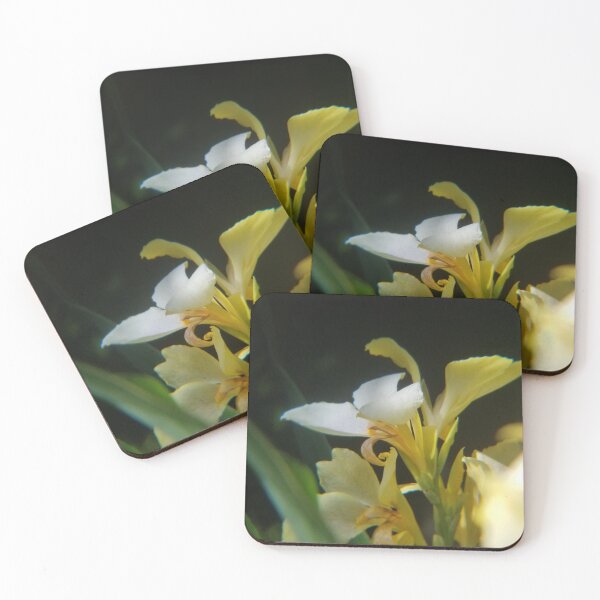 Item preview, Canna Lily designed and sold by MadeleineRoth.