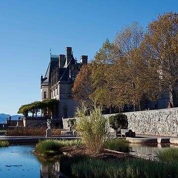 Artwork thumbnail, BILTMORE ESTATE ASHEVILLE NORTH CAROLINA by teruyalab