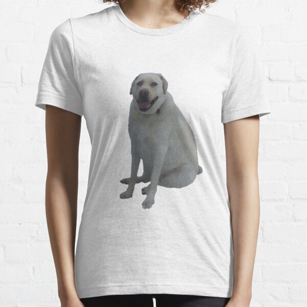 labrador merchandise