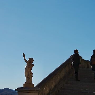 Artwork thumbnail, BILTMORE ESTATE STAIRS ASHEVILLE NORTH CAROLINA by teruyalab