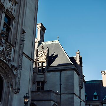 Artwork thumbnail, BILTMORE ESTATE ASHEVILLE NORTH CAROLINA by teruyalab