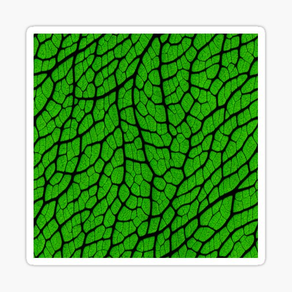Nature Green Leaf Cells Pattern Tile Sticker