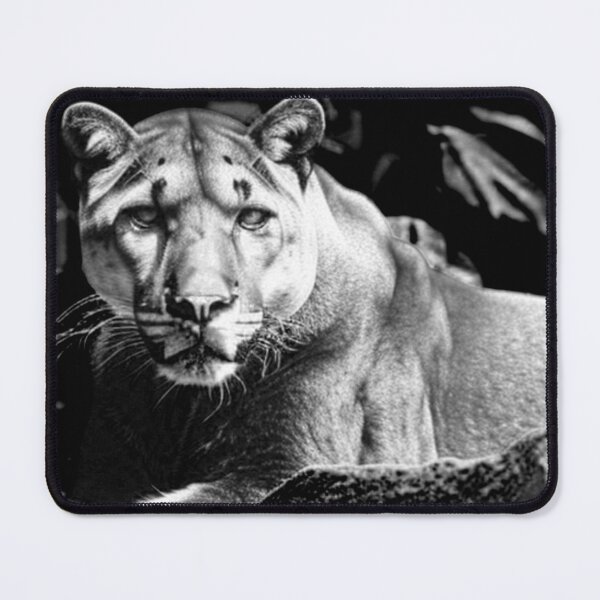 Item preview, Fierce Panther in the Jungle designed and sold by CozyTrend.