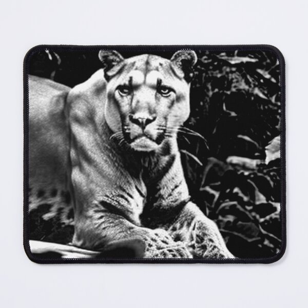 Item preview, Wild Panther in the Rainforest designed and sold by CozyTrend.