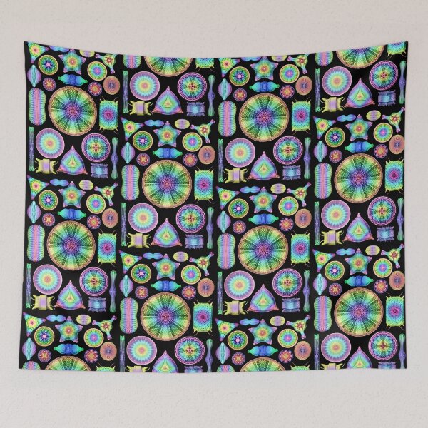 Item preview, Ernst Haeckel Rainbow Diatoms on Black designed and sold by aimeewilson.